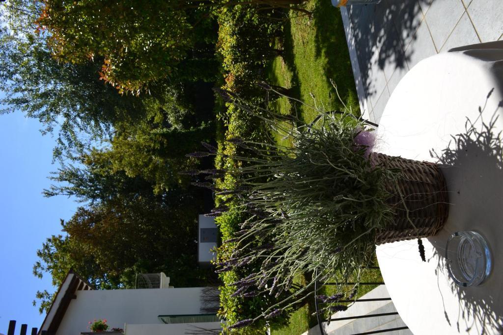 מרינה די מסה Residence Casa Bianca מראה חיצוני תמונה